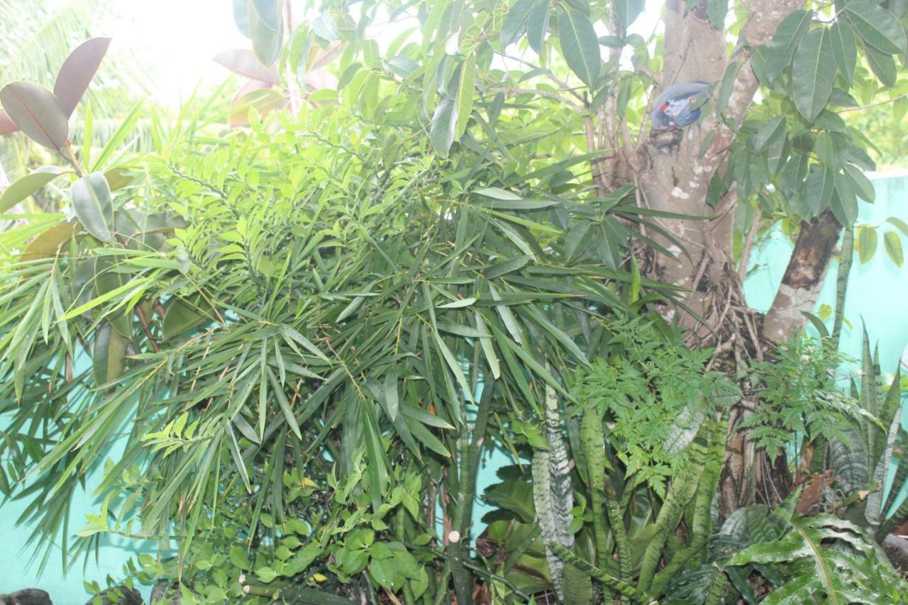 Maraño's Home Care Legazpi Exterior foto